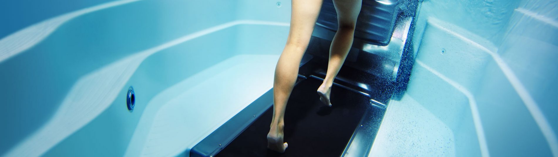 endless pool with treadmill cost